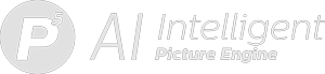 Logotip Picture Engine